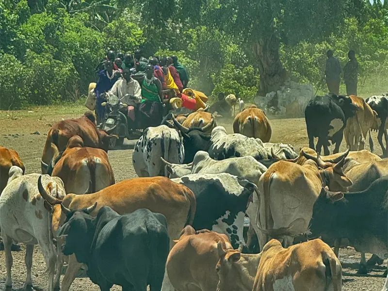 Arusha, Tansania