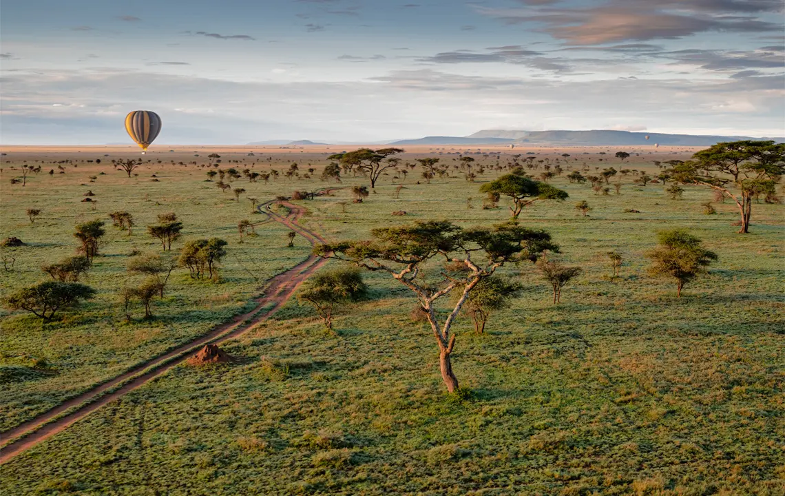 Die Serengeti in Tansania