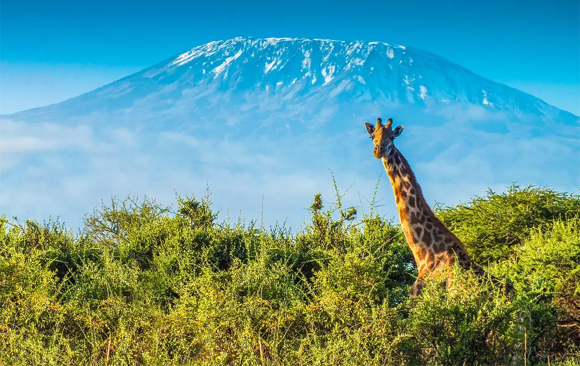 SUV Tour durch Tansania: Der Kilimanjaro